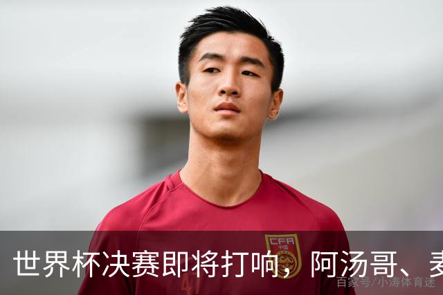 世界杯决赛即将打响，阿汤哥、麦当娜、夏奇拉、比伯等巨星已确定出席表演，执行制片人：演出汇集全球顶尖艺人，希望能代表整个世界