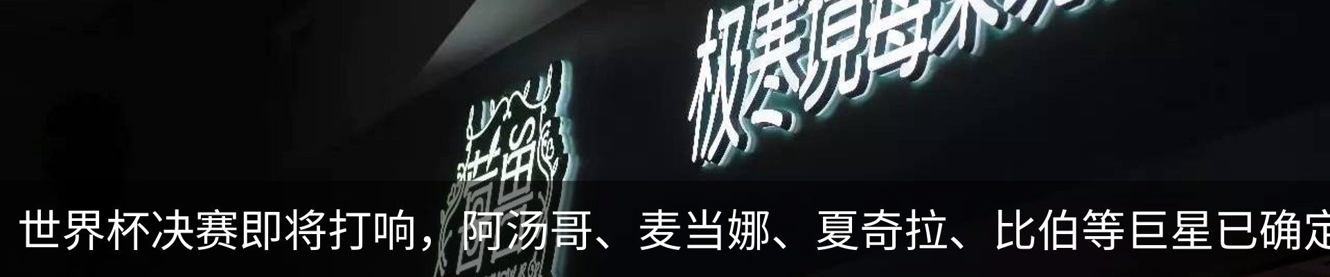 新闻动态