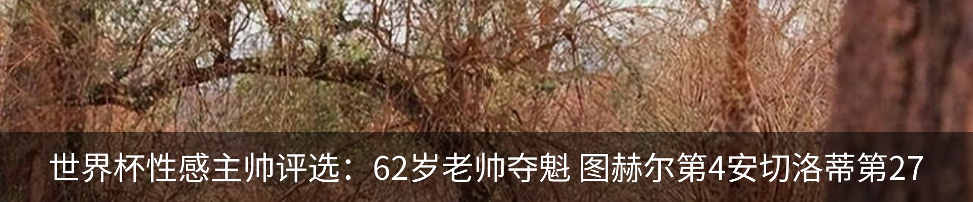 新闻动态