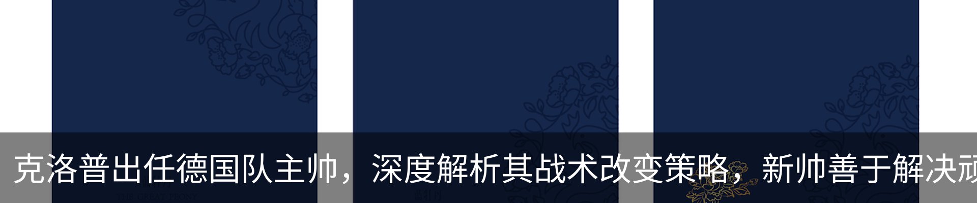 新闻动态
