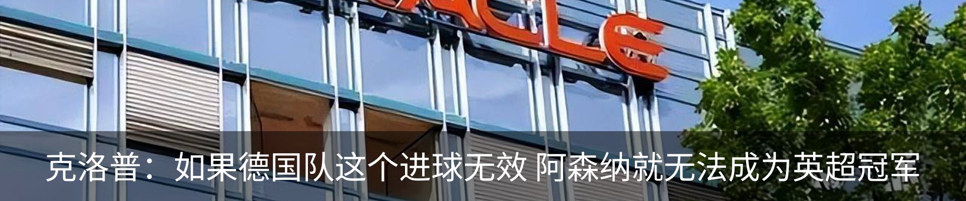 新闻动态