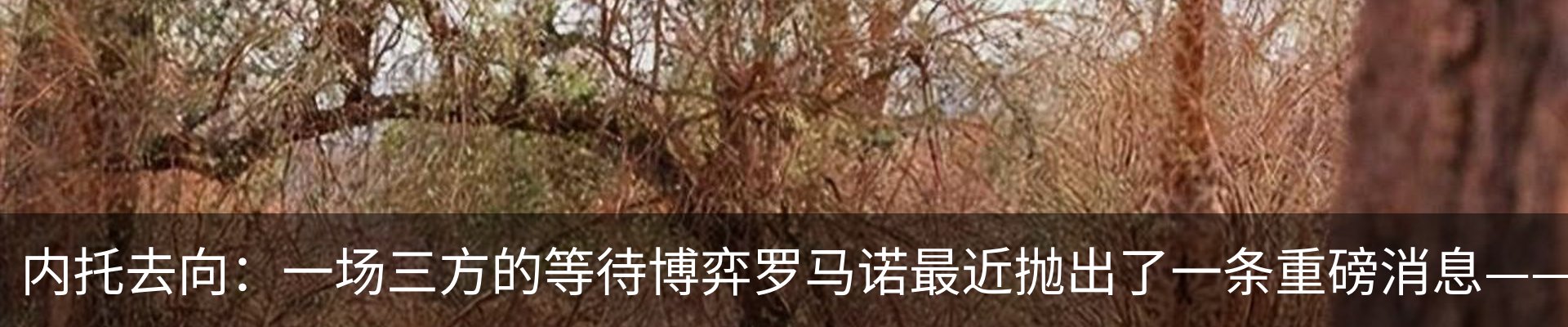新闻动态