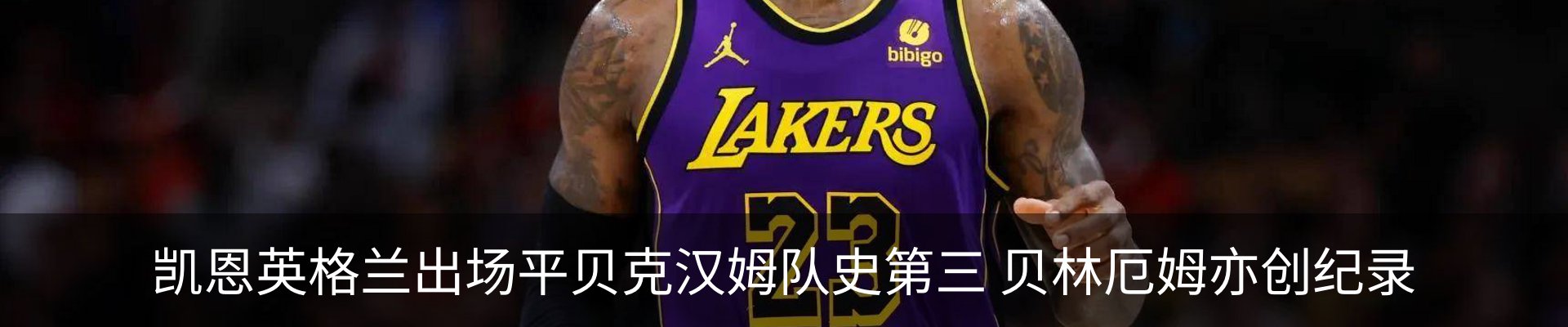 新闻动态