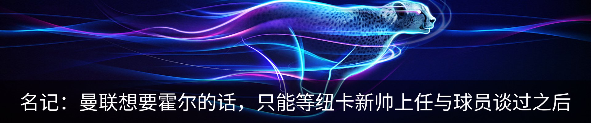 新闻动态