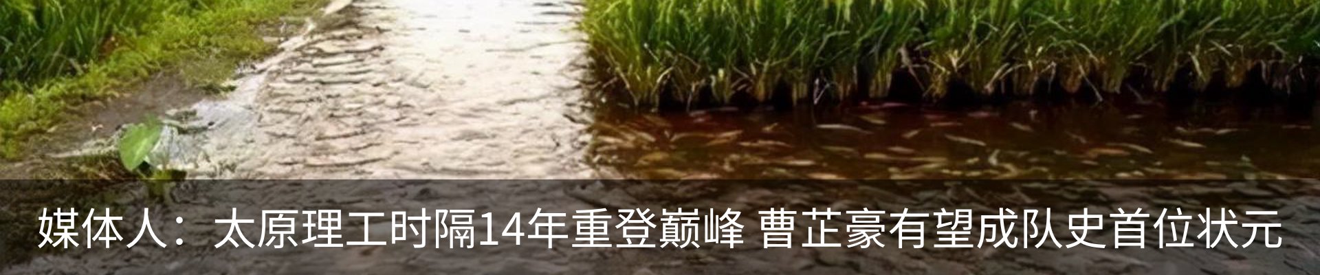 新闻动态