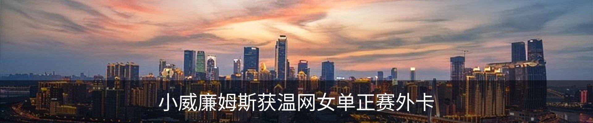 新闻动态