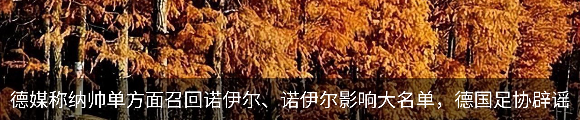 新闻动态