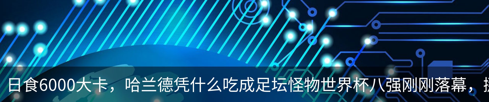 新闻动态