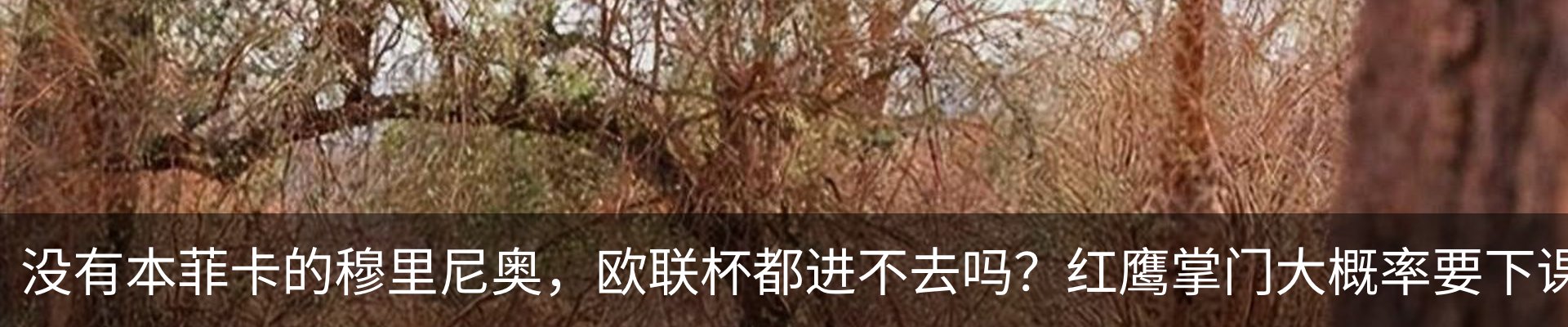 新闻动态