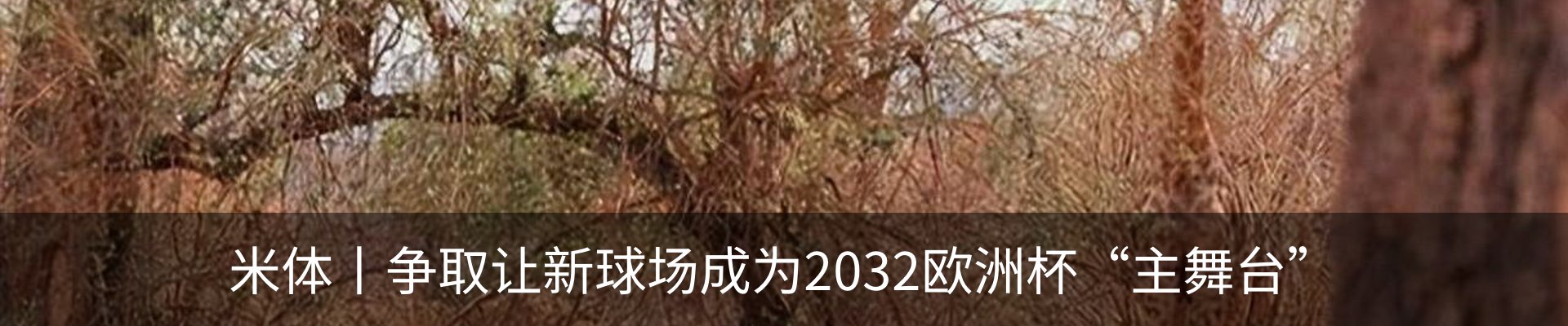 新闻动态