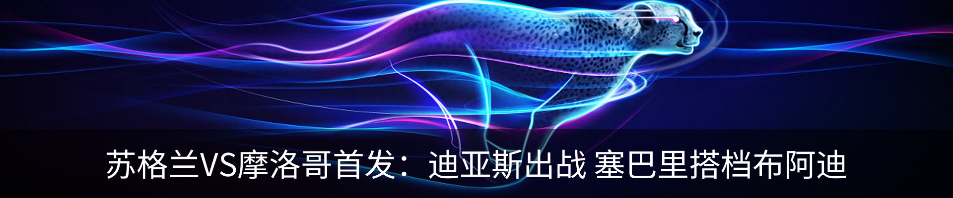 新闻动态