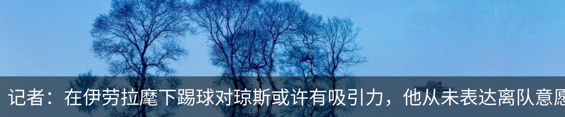 新闻动态