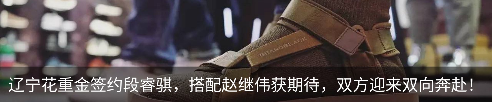 新闻动态