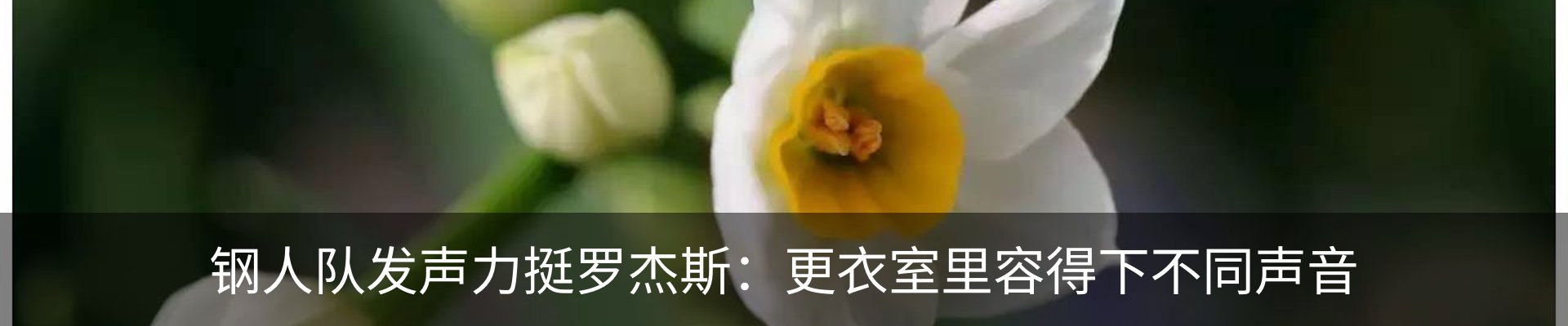 新闻动态