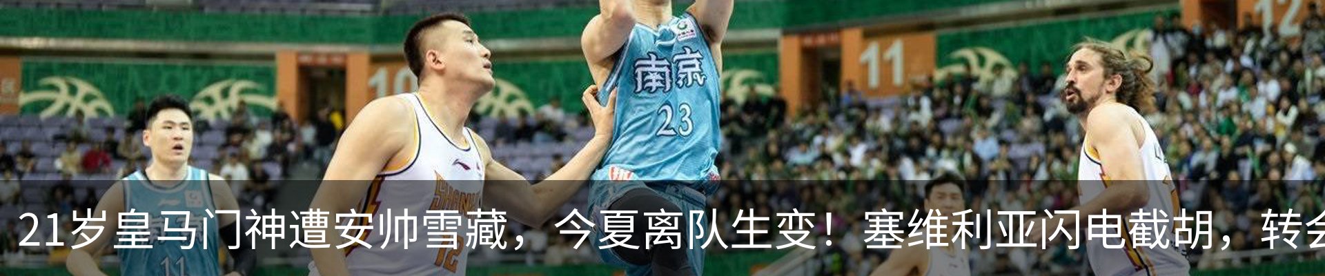 新闻动态