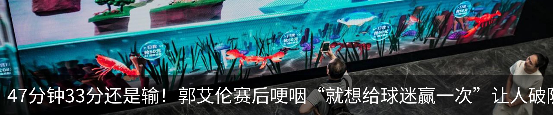 新闻动态