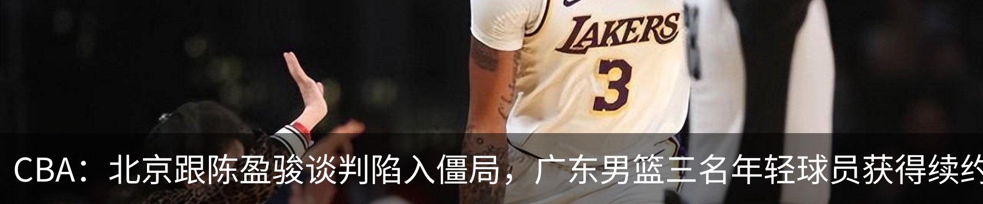 新闻动态