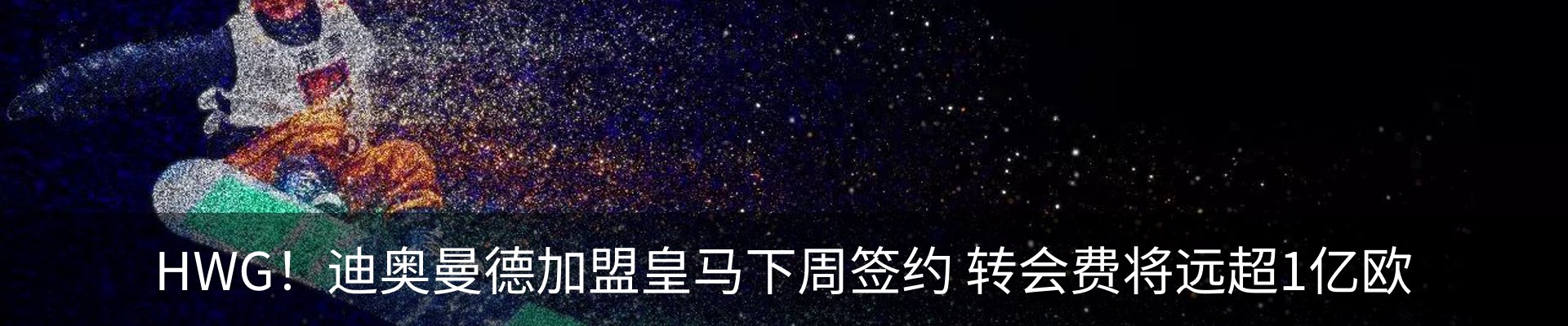 新闻动态
